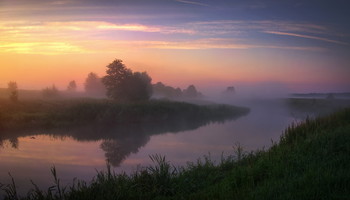 Foggy morning / ***