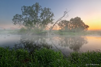 Foggy morning / ***