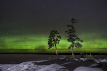 Northern lights / ***