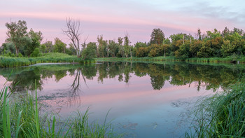 Evening on the lake / ***