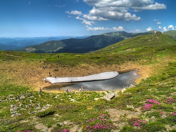 &nbsp; / [img]https://i.imgur.com/f1EIgaR.jpg[/img]
[img]https://i.imgur.com/xn9r7DV.jpg[/img]
[img]https://i.imgur.com/aj0ivgr.jpg[/img]
[img]https://i.imgur.com/cnXsTxc.jpg[/img]
