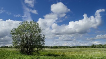 &nbsp; / music: Jazzamor - Dreamer 
https://www.youtube.com/watch?v=7s5nep5X9y0