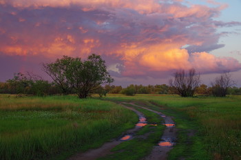 nach dem Sturm / ***