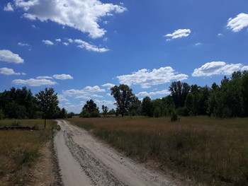 expanse of summer / ***