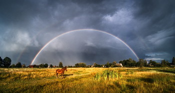 Evening in the village / ***