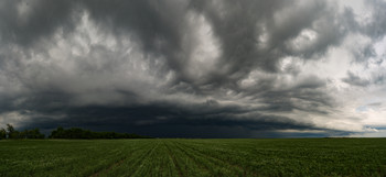 Before the storm / ***