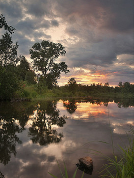 July evening / 2019