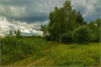 Before the storm / ***