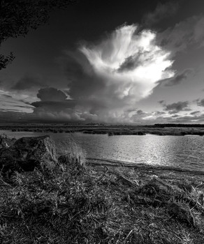 Evening / ***