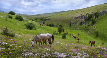 Outdoors. / ***