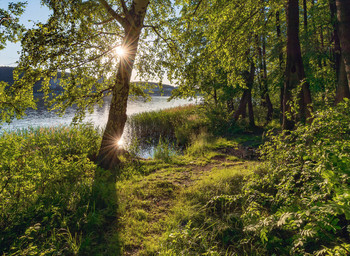 Fisherman's Path / ***