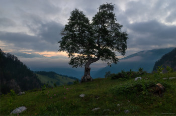 lonely morning / ***