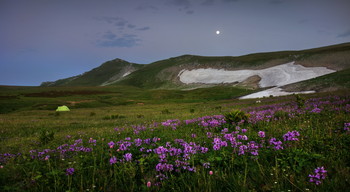 Sunset in the mountains / ***