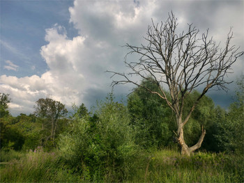 Vor dem Sturm / ***