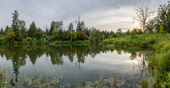 Abend auf dem See im Wald / ***