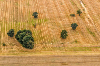 Autumn field / ***