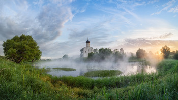 White swan in the fog / ***