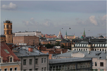 Roofs / ***