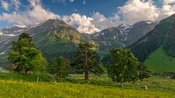 Caucasus / ***