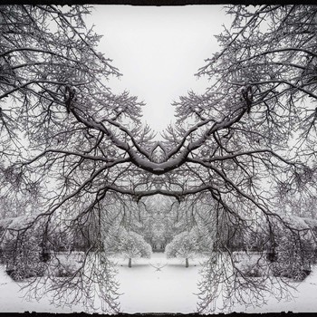 &nbsp; / &gt;{°-°}