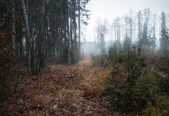 Herbst / ***