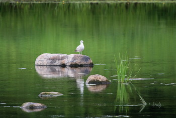 Pashkevich68 / Pashkevich68