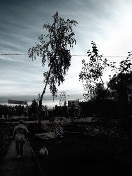 Evening / ***