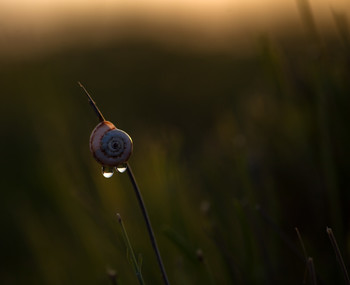 Am Ende des Tages / ***