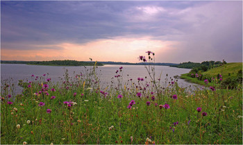 Midsummer / ***