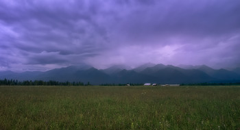 Storm / ***