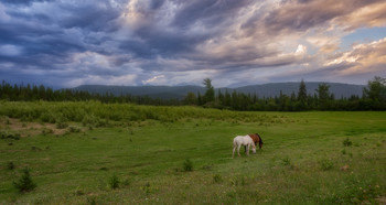 idyll / ***