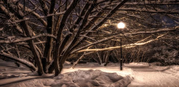 Lantern. / ***