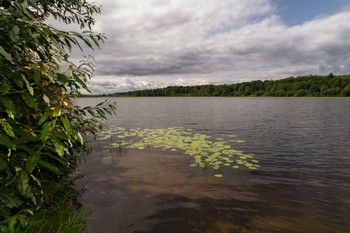 On the lake / ***