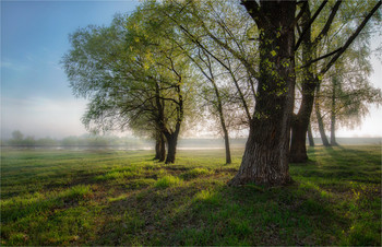 May morning / ***