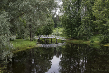 Im alten Park / ***