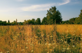 Sommerabend. / ***