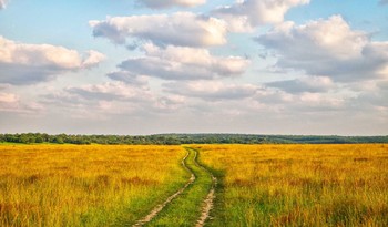 Sommer in vollem Gange ... / ***