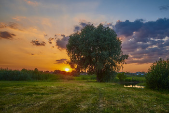 Summer Sunset / ***