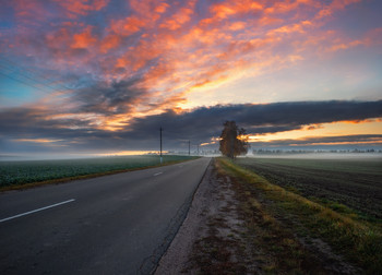 Herbst Morgendämmerung / ***