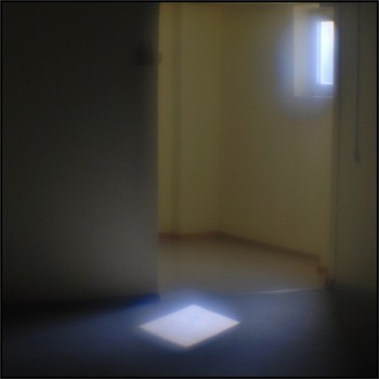 White square / ***