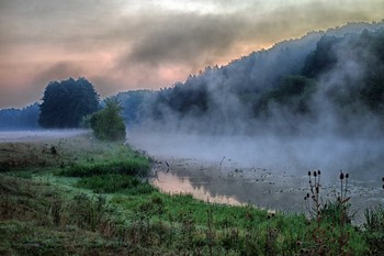 Sommer-Morgen auf dem Fluss / ***