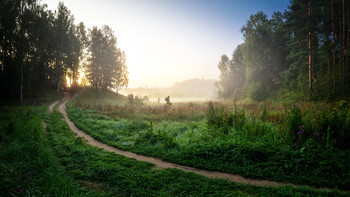 im Morgennebel / ***