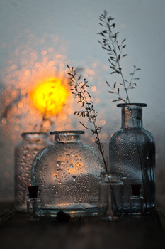 Sunset / ***