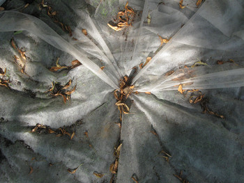 &nbsp; / [img]https://live.staticflickr.com/65535/48496594016_e0169e68a1_o.jpg[/img]

[img]https://live.staticflickr.com/65535/48496594146_c8a4e66a06_o.jpg[/img]

[img]https://live.staticflickr.com/65535/48496764157_787d8da7a4_o.jpg[/img]

[img]https://live.staticflickr.com/65535/48496594091_f3f906e05a_o.jpg[/img]

[img]https://live.staticflickr.com/65535/48496764272_1bdf16cd39_o.jpg[/img]