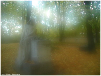 Autumn / ***