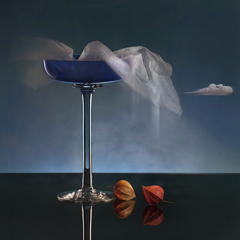 Physalis / ***