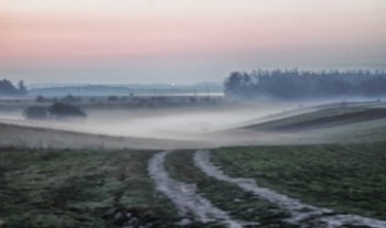 Nebliger Morgen / ***