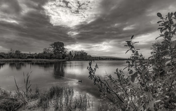 An evening walk / ***