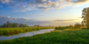 Julimorgen / ***