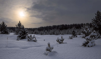 Winterabend / ***